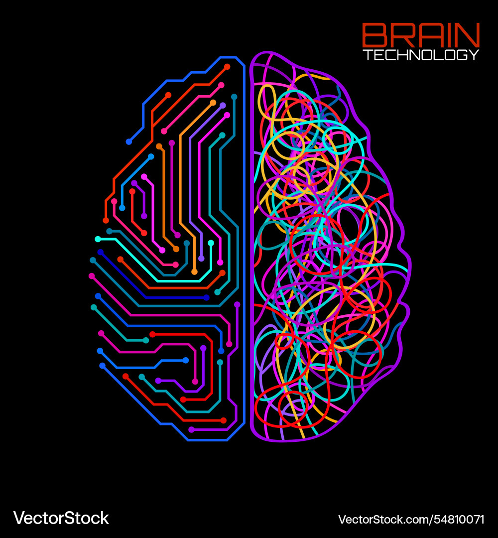 Left right human brain concept logic part Left right human brain concept logic part vector image