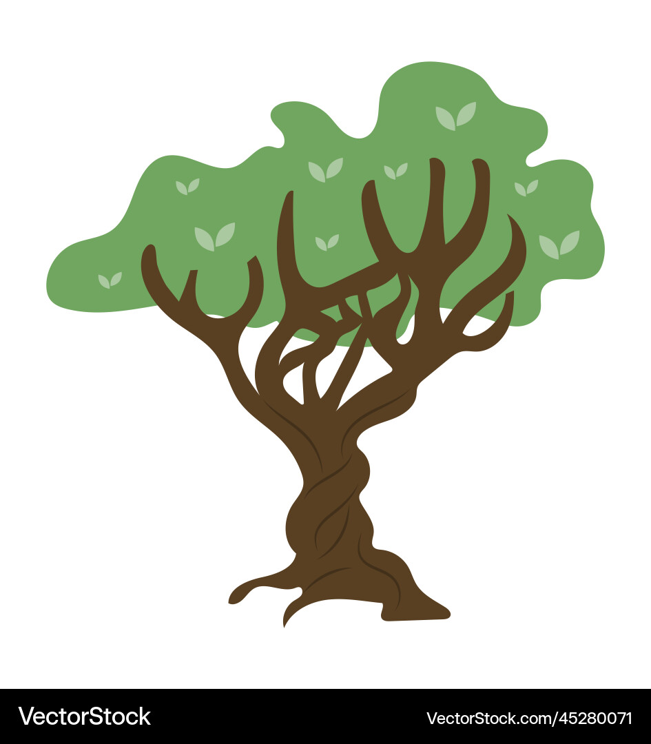Tree with twisted trunk and branches green vector image