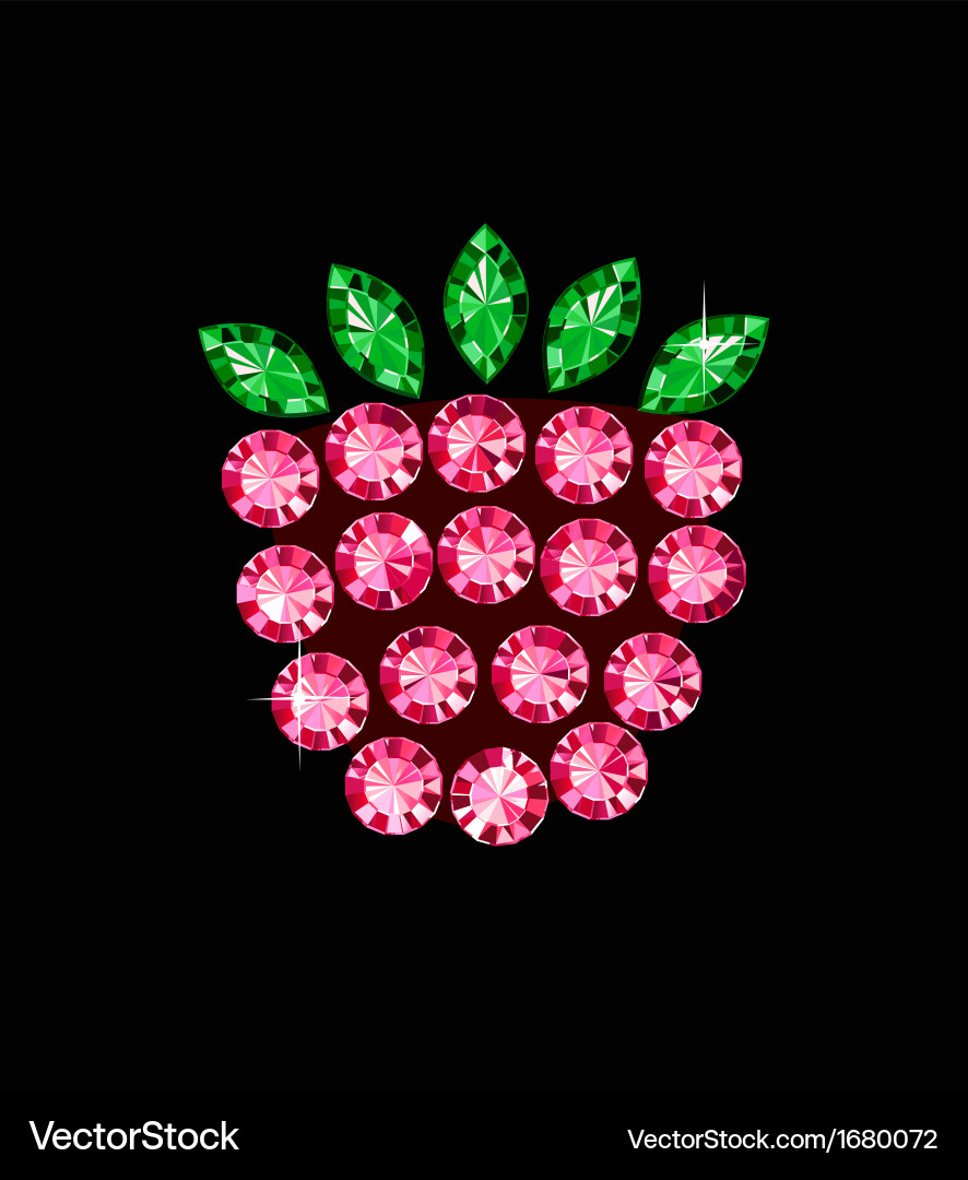 Gem raspberry vector image