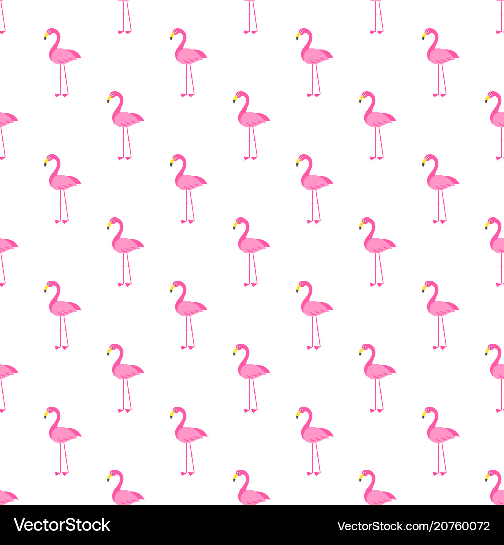 Pattern with pink flamingo bird on white