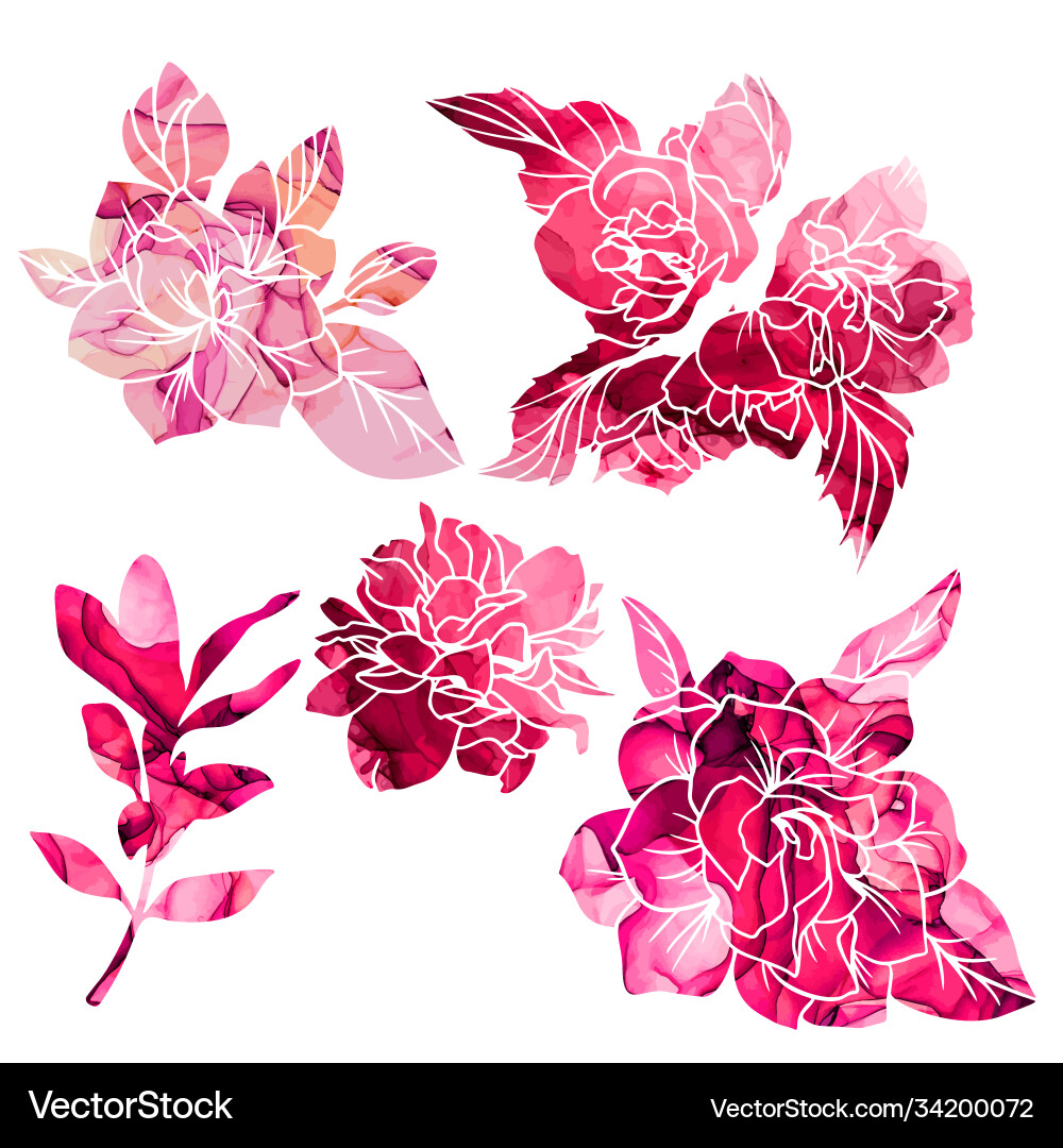 Red and pink textured magnolia jasmine flowers Vector Image