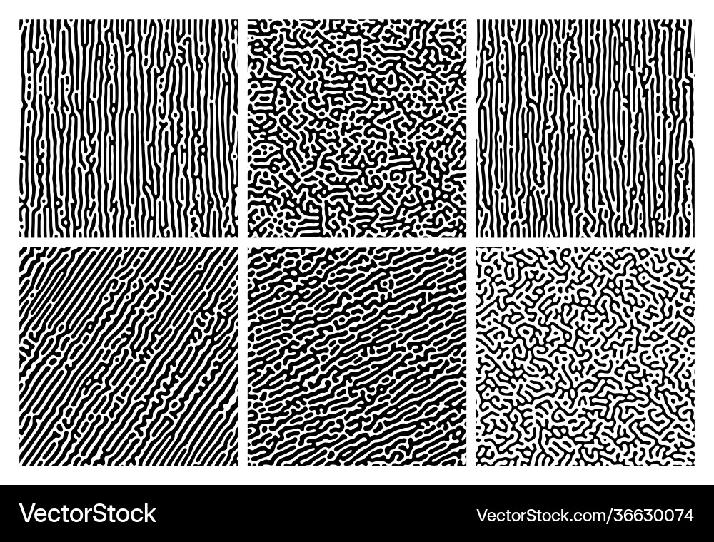 Turing reaction colorful background Turing reaction colorful background vector image