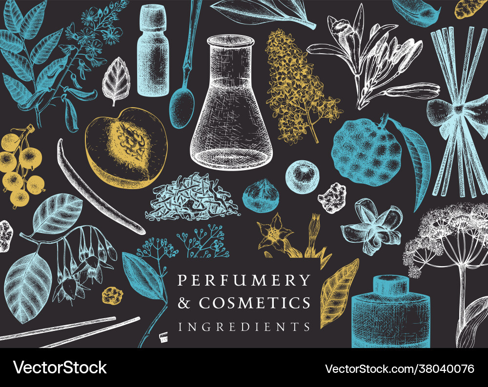 Background with fragrant fruits sketched Background with fragrant fruits sketched vector image