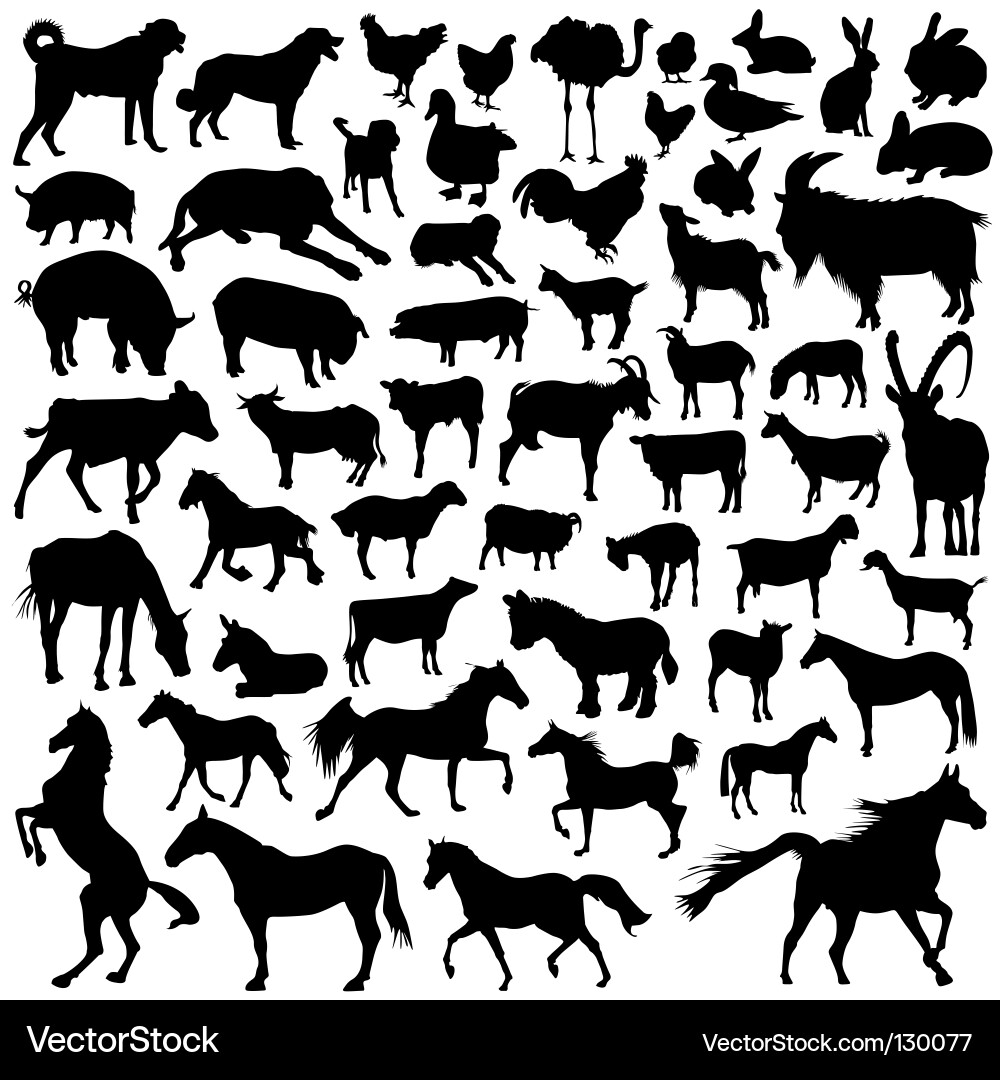 Farm Animal Silhouettes vector image