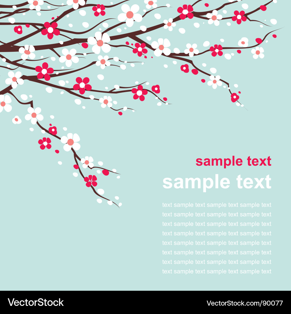 Template Royalty Free Vector Image - VectorStock