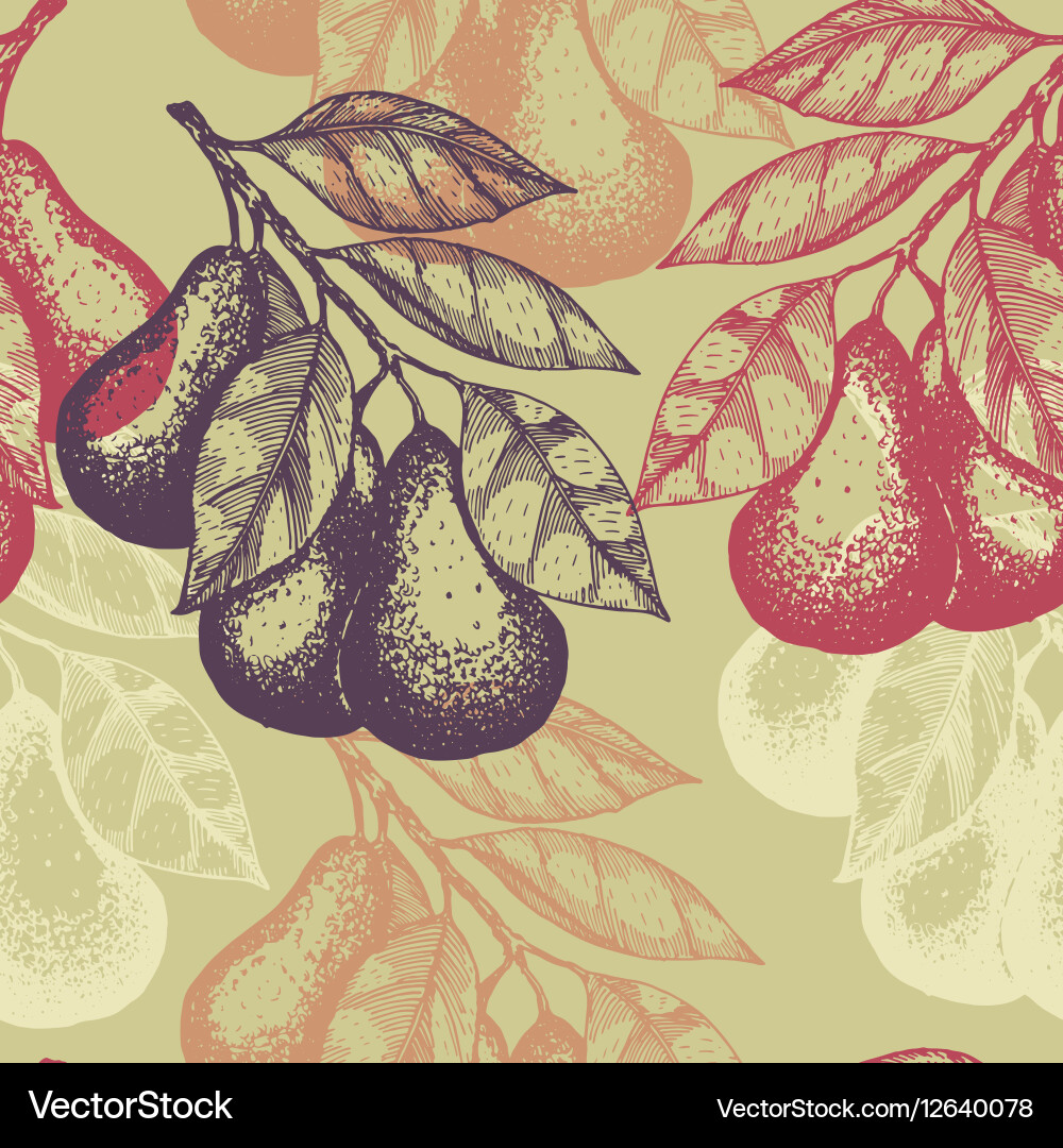 Pear Branch Pattern - Engraved Style vector image
