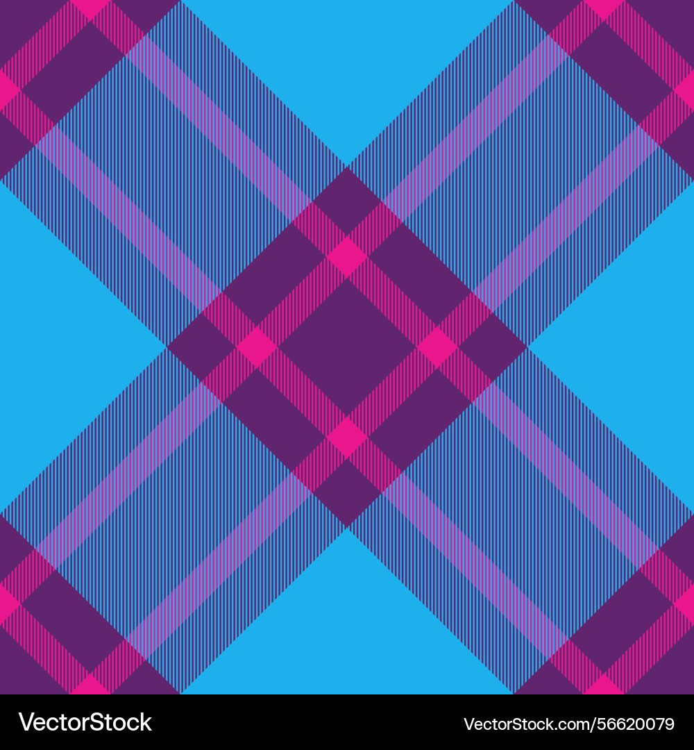 Skill seamless tartan texture regular background Vector Image
