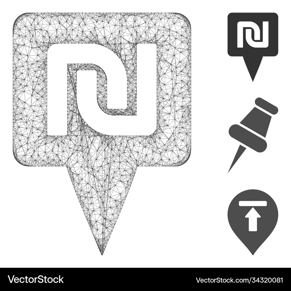 Shekel map pointer polygonal web mesh Shekel map pointer polygonal web mesh vector image