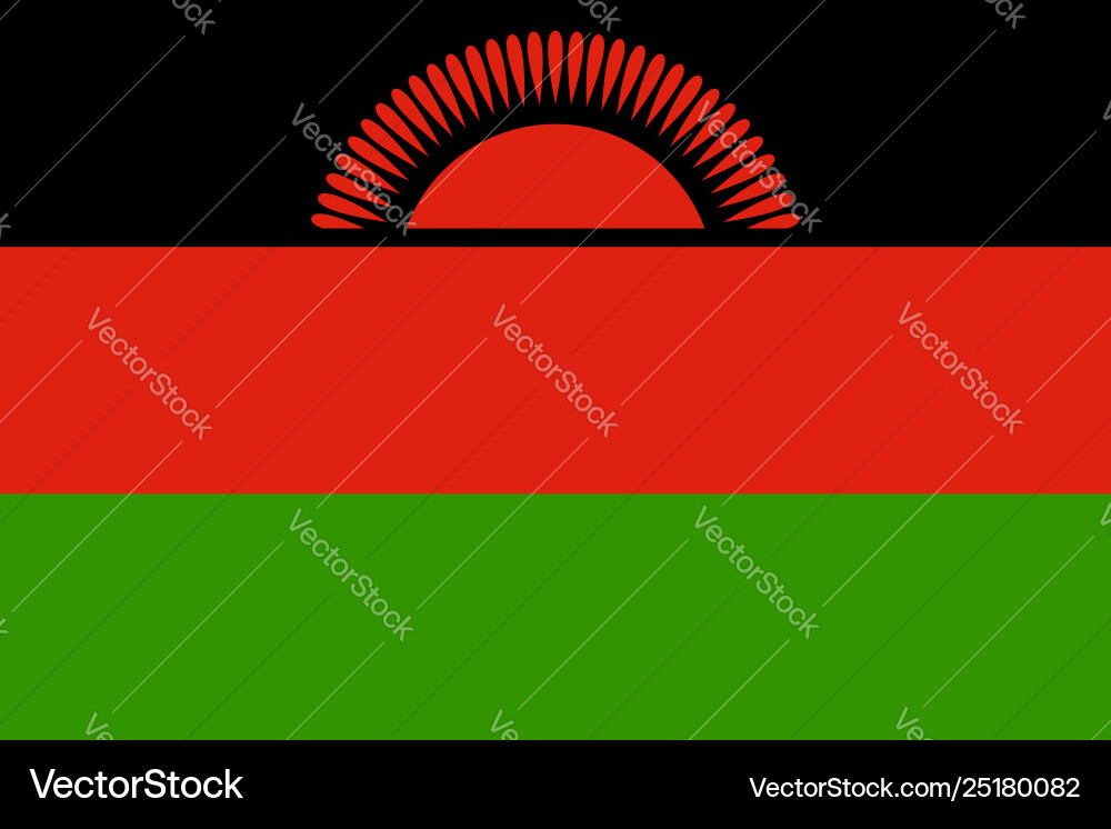 Flag rectangular shape Flag rectangular shape vector image