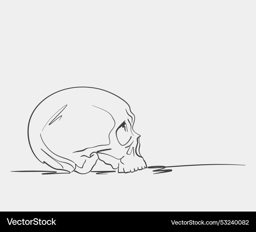 Minimalist skull with side profile Minimalist skull with side profile vector image