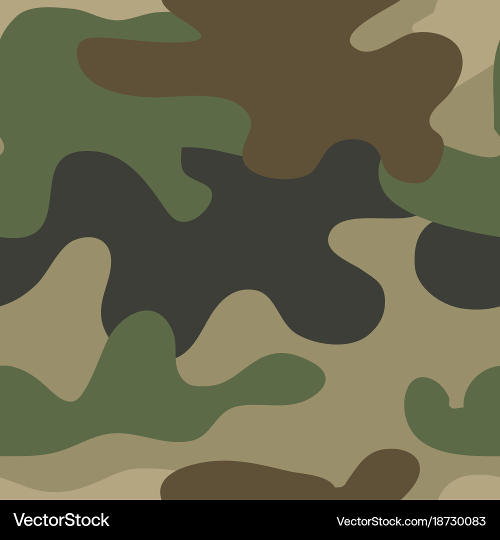 Army camouflage pattern vector image