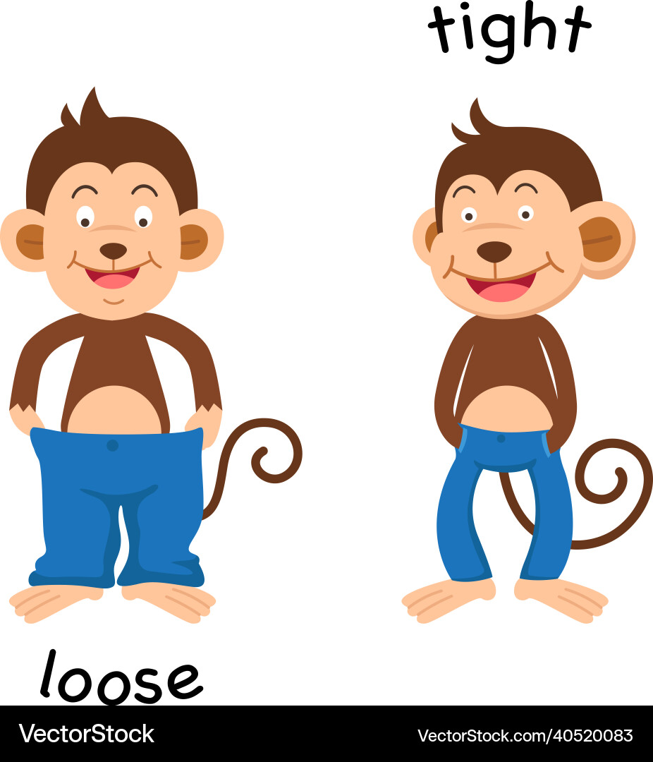 Opposite loose and tight Opposite loose and tight vector image