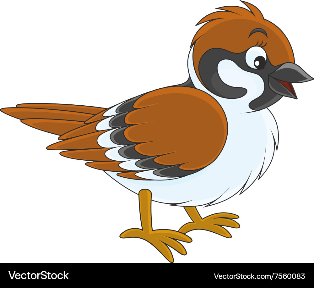 Воробей на прозрачном фоне картинка для детей