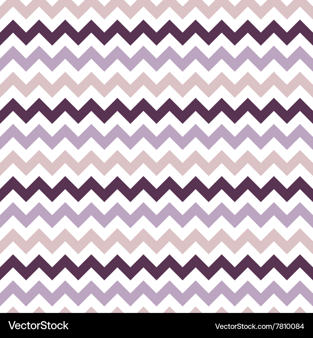 Retro Zigzag Stripe Pattern vector image