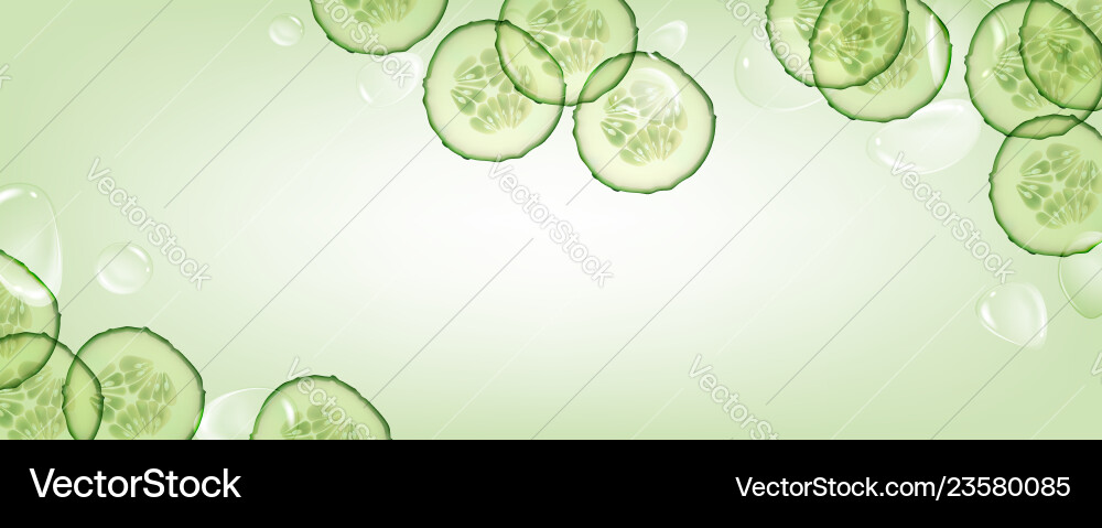 Beautiful horizontal green realistic cucumber vector image