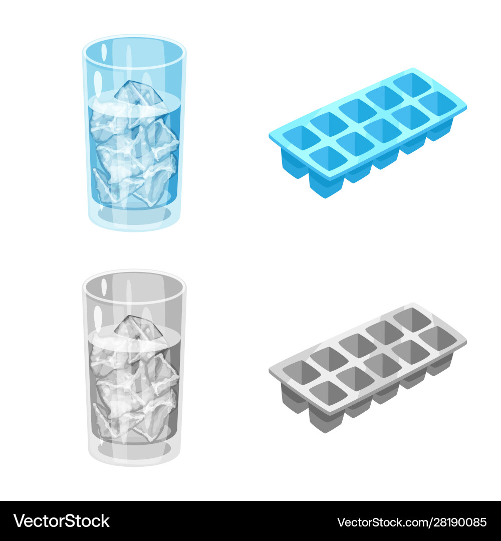 Design texture and frozen symbol set vector image