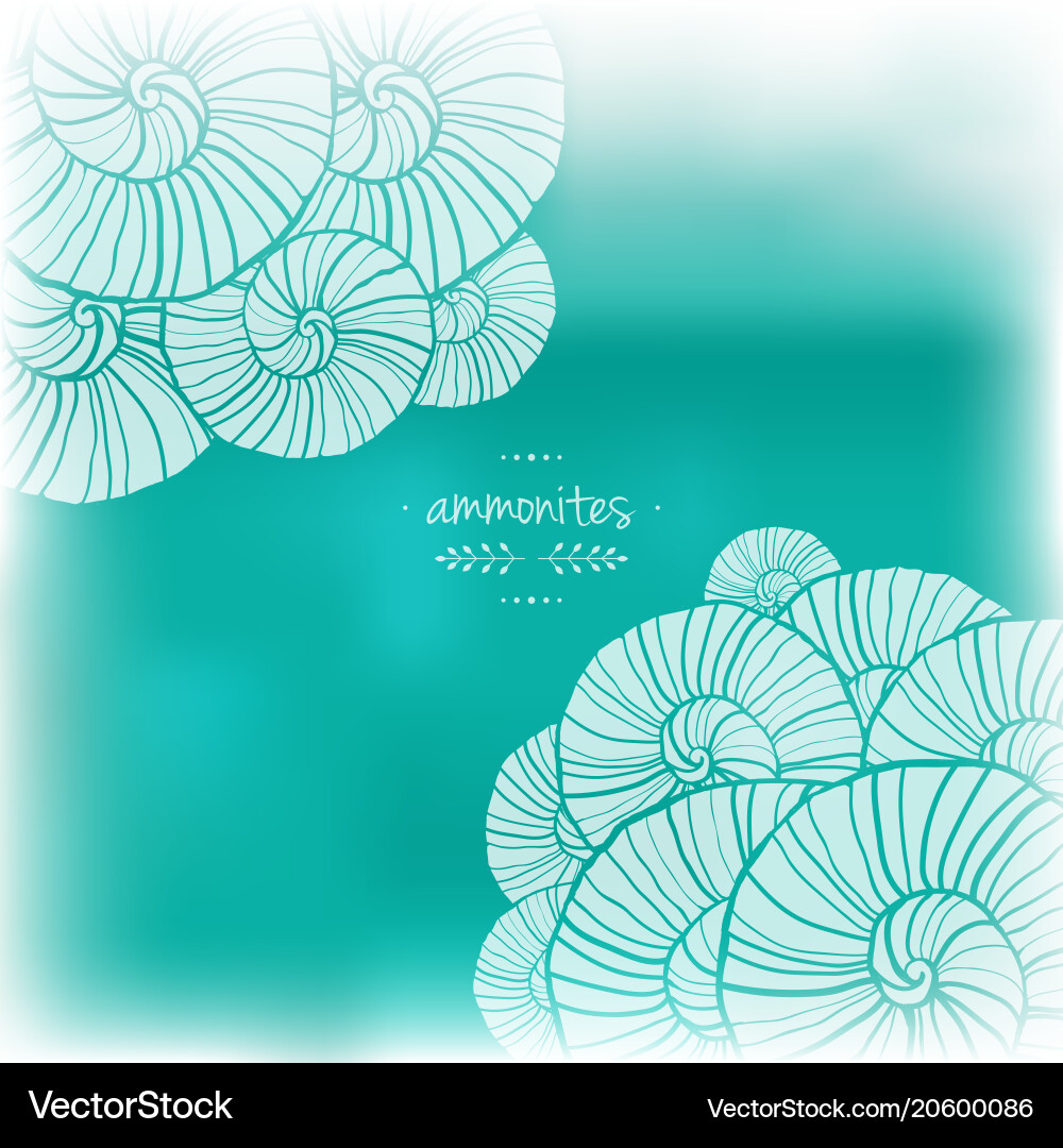 Ammonite Seashell Pattern vector image