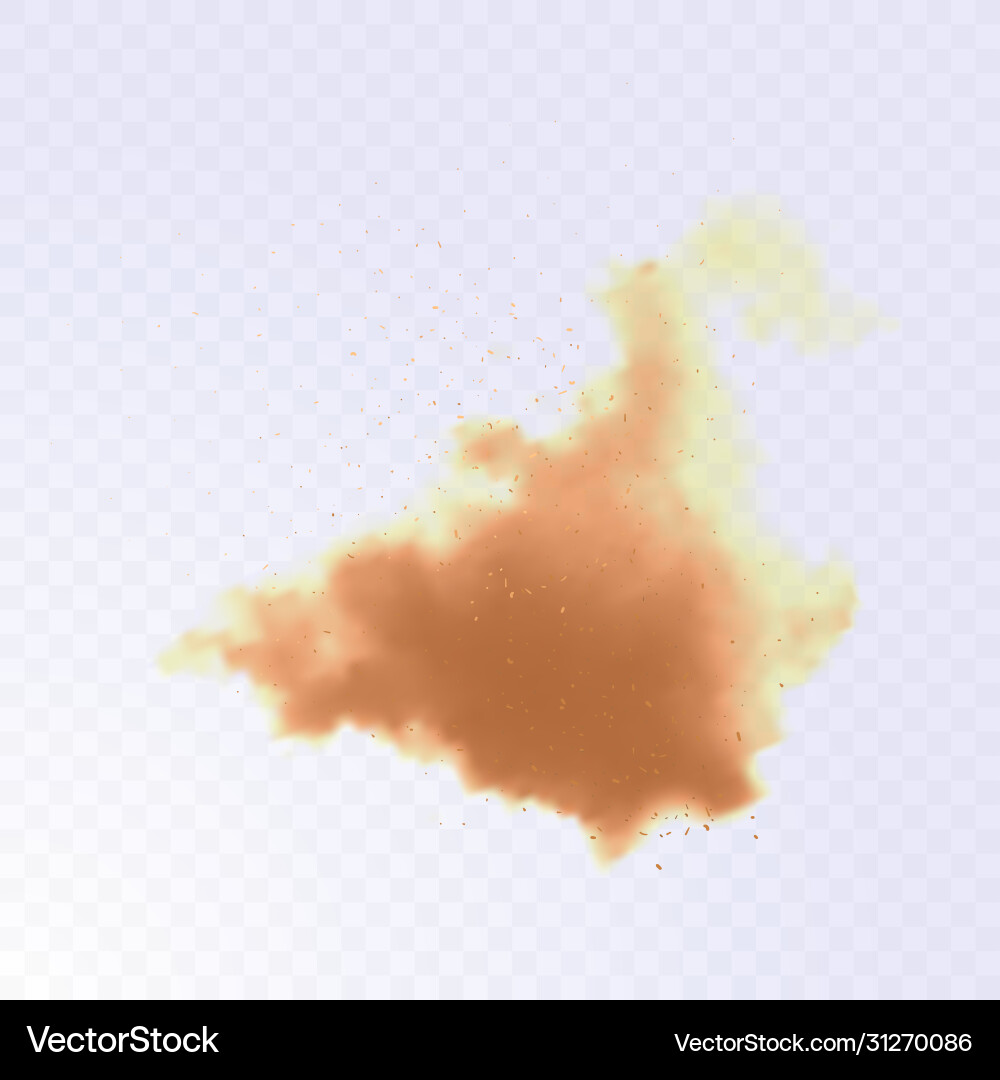 Dust cloud with particles realistic Vector Image