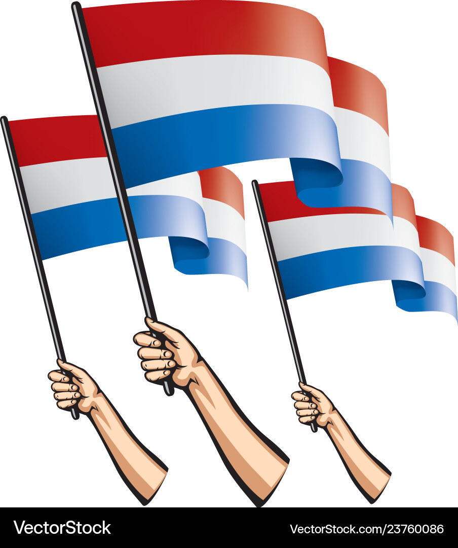 Netherlands flag and hand on white background Netherlands flag and hand on white background vector image