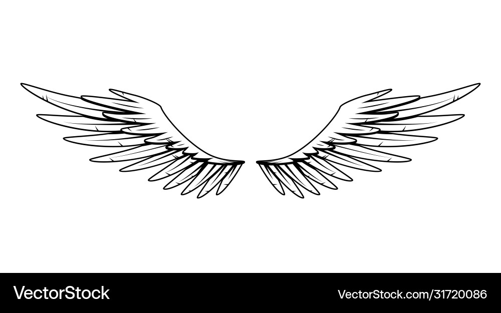 Vintage heraldic wings monochrome stylized birds Vintage heraldic wings monochrome stylized birds vector image