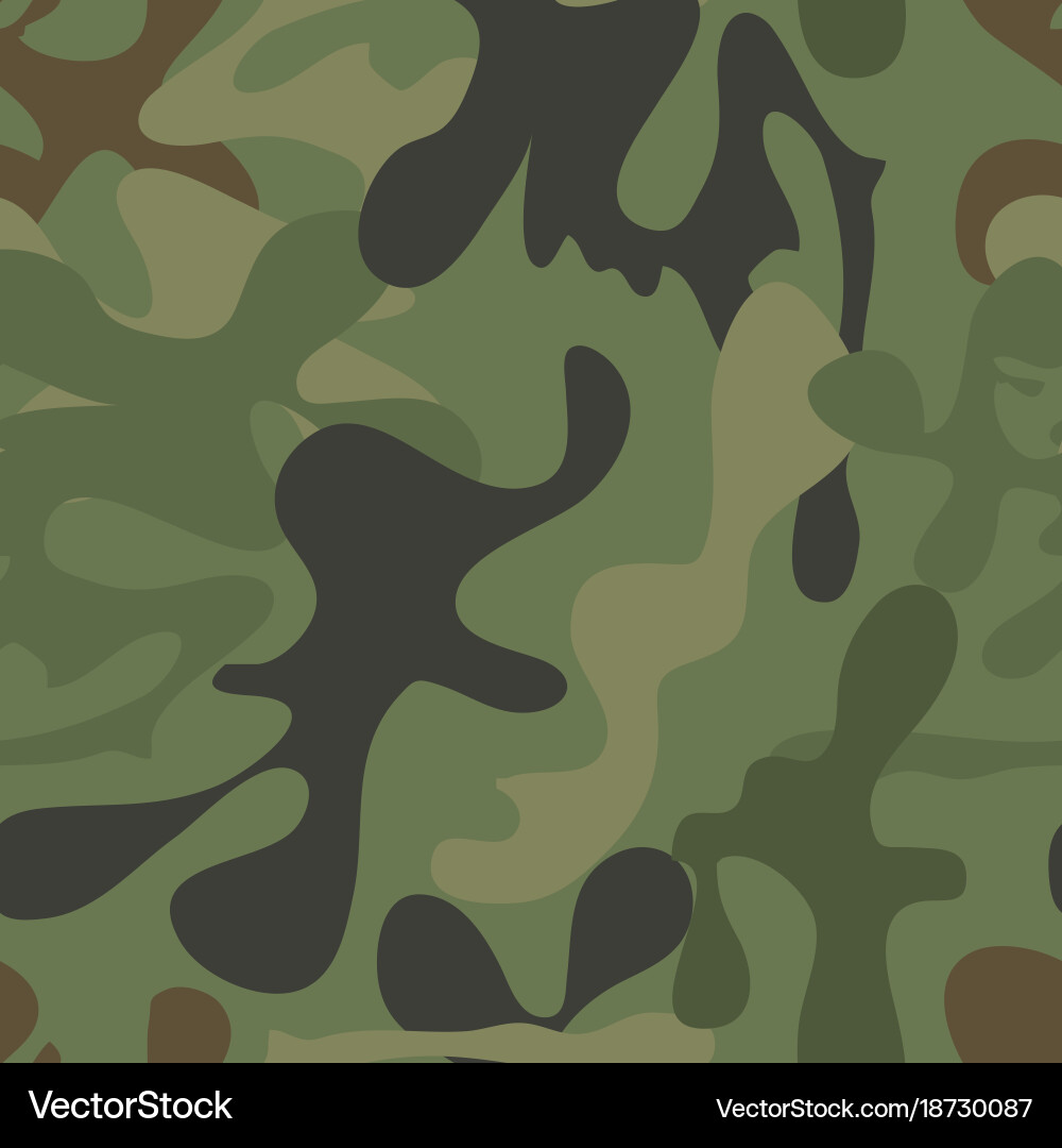 Army camouflage pattern vector image