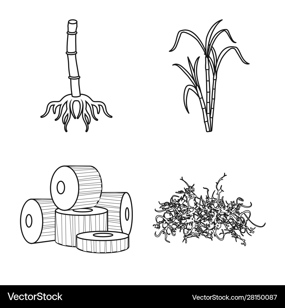 Isolated object organic and product symbol set Isolated object organic and product symbol set vector image