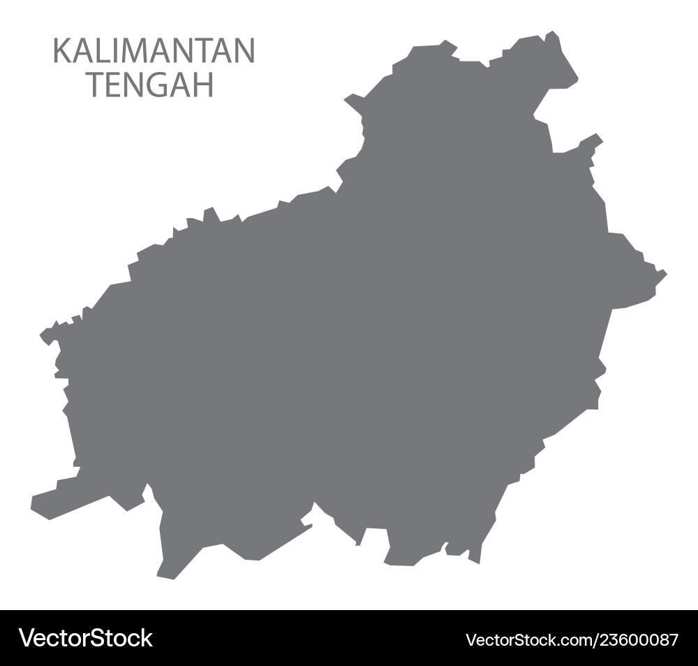Kalimantan tengah indonesien Karte grau Kalimantan tengah indonesien Karte grau vektorbild