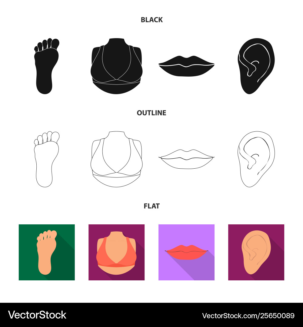 Design body and part icon collection Design body and part icon collection vector image