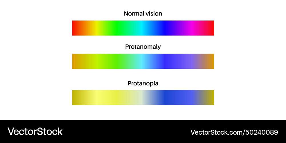 Protanomaly and protanopia Protanomaly and protanopia vector image