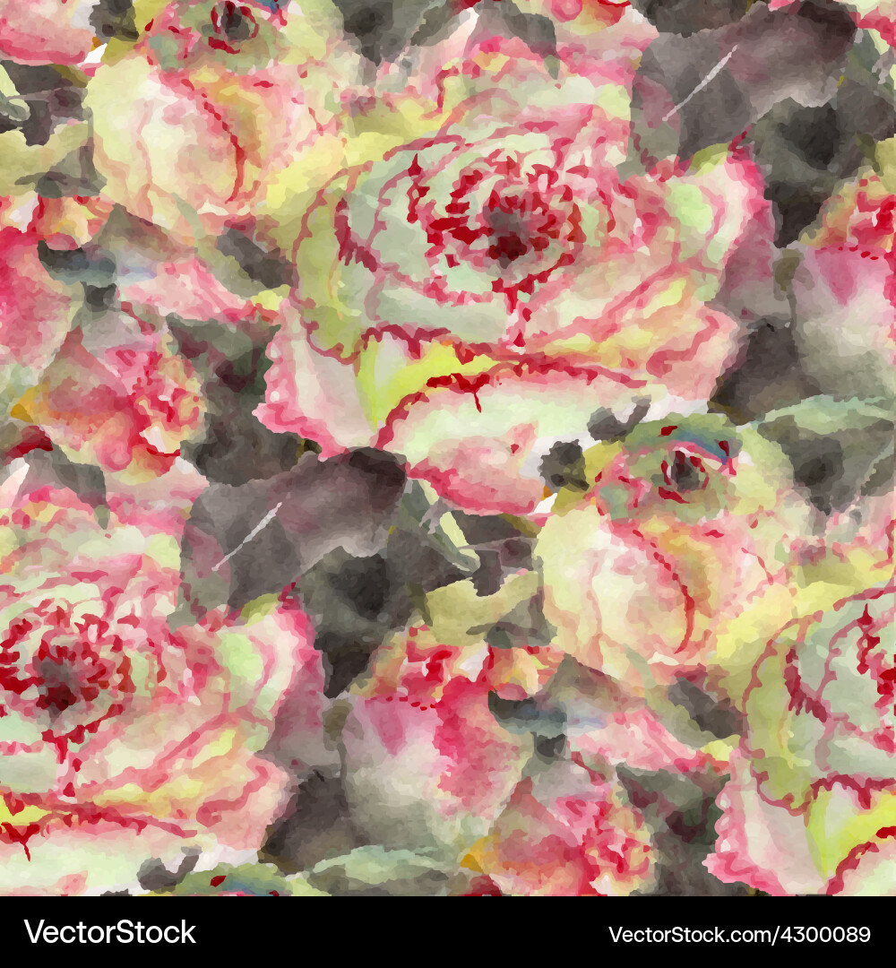 Vector Ranunculus Ranunculus Royalty Free Vector Image - VectorStock