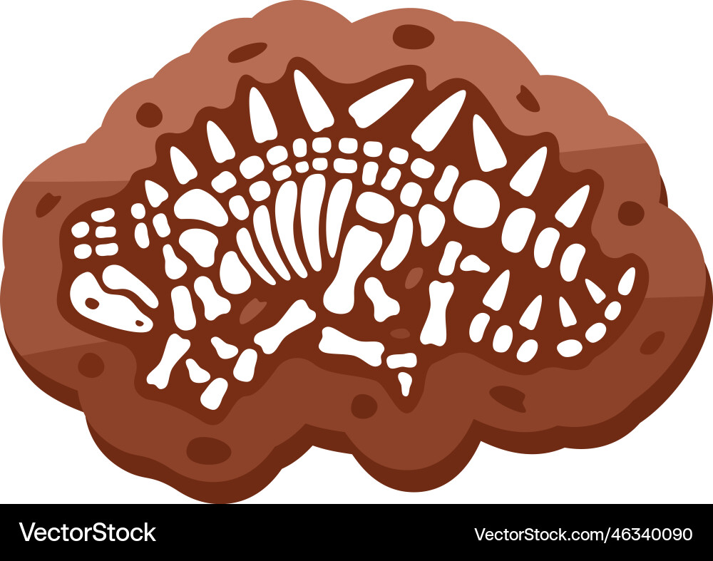 Brontosaurus fossils skeleton fossil Brontosaurus fossils skeleton fossil vector image