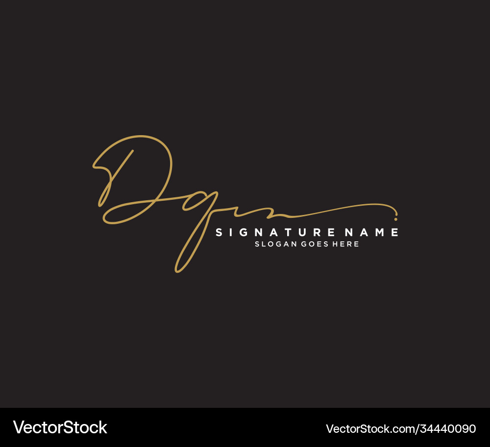 Elegant Script Signature Logo vector image