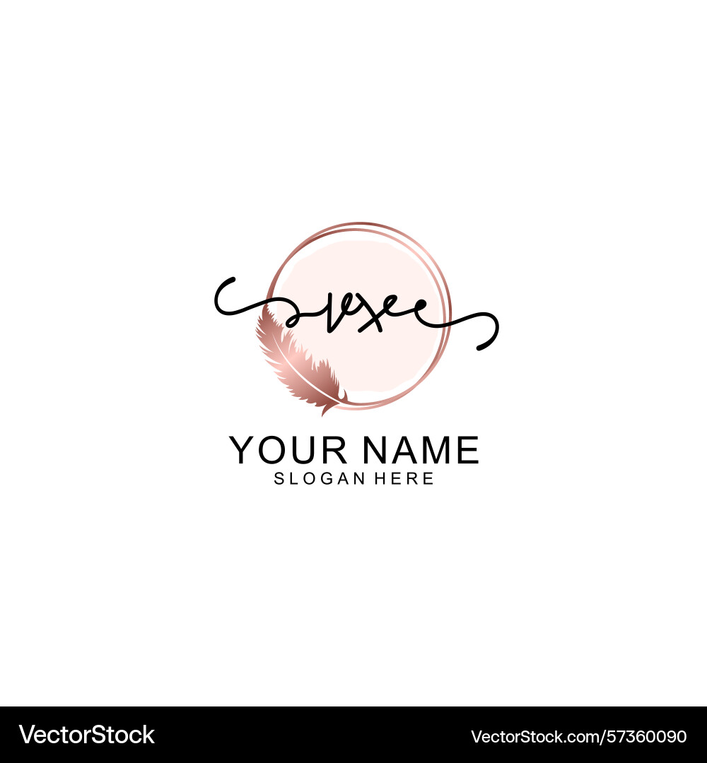Handwritten vx initial logo with circle Handwritten vx initial logo with circle Vector Image