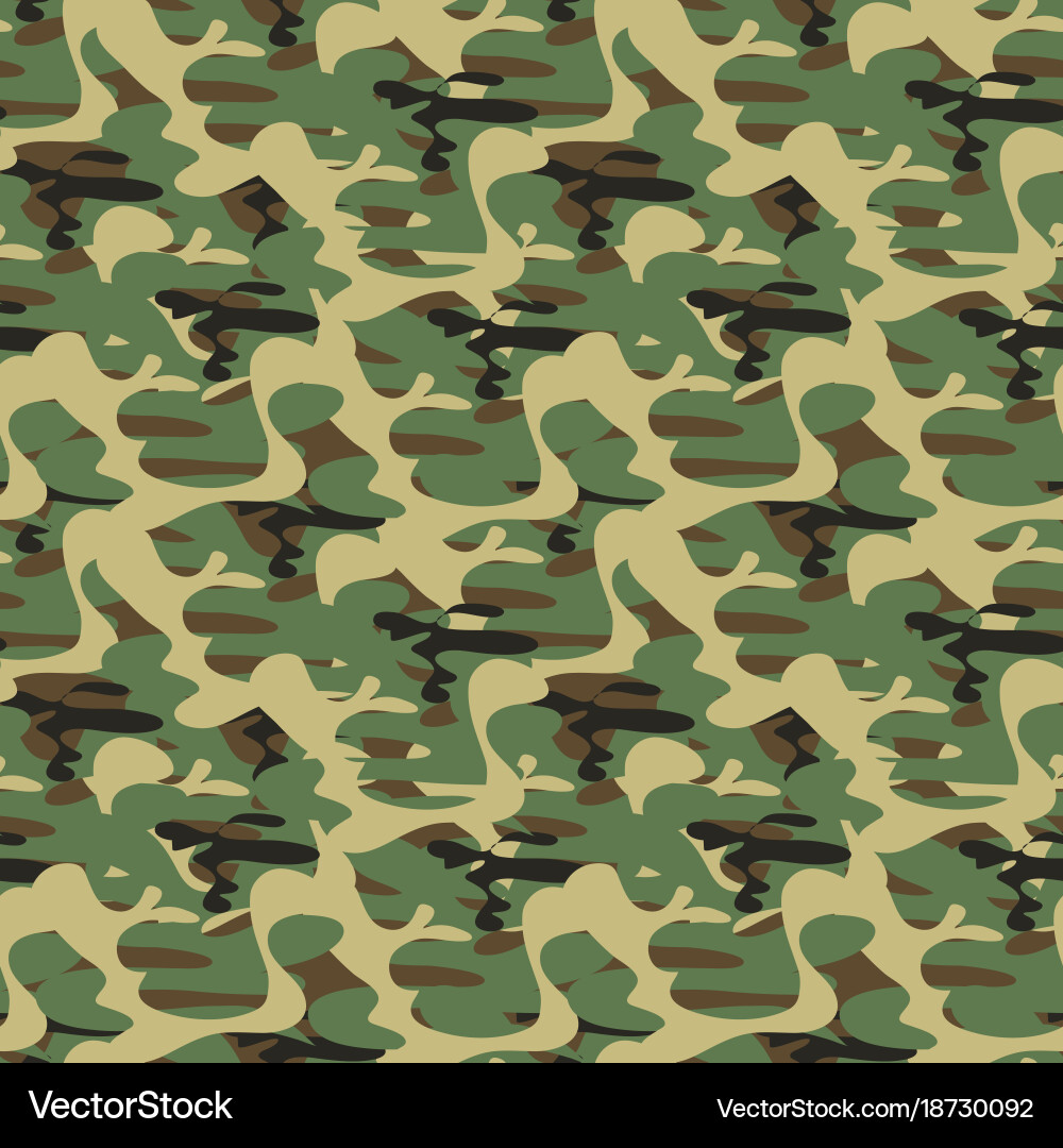 Army camouflage pattern vector image