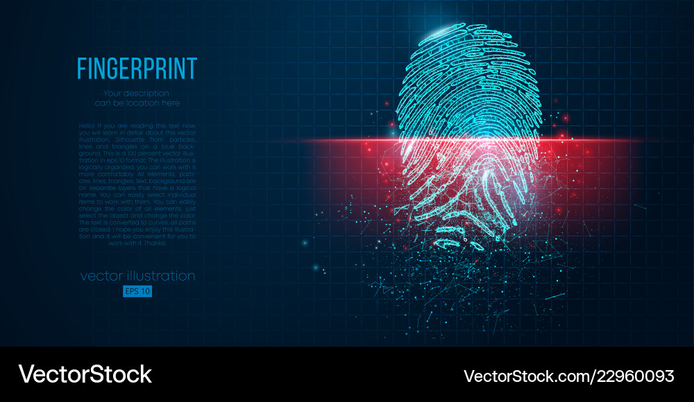 Digital Security: Fingerprint Scan vector image