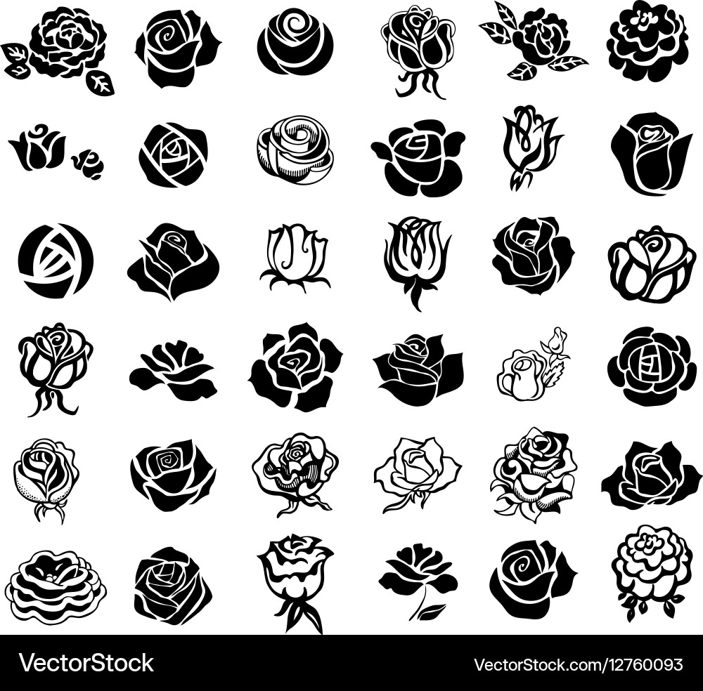 Roses design elements Royalty Free Vector Image