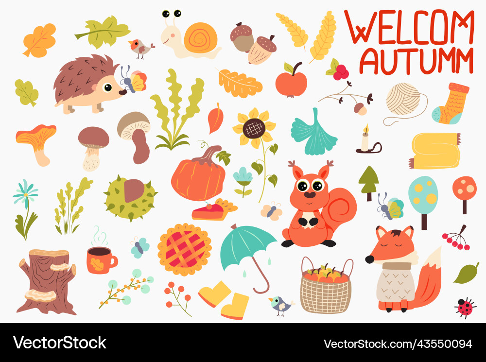 Autumn cute set in flat cartoon design Autumn cute set in flat cartoon design Vector Image