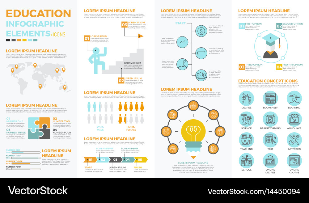 Education Infographic Elements - Learning & Study Vector Image