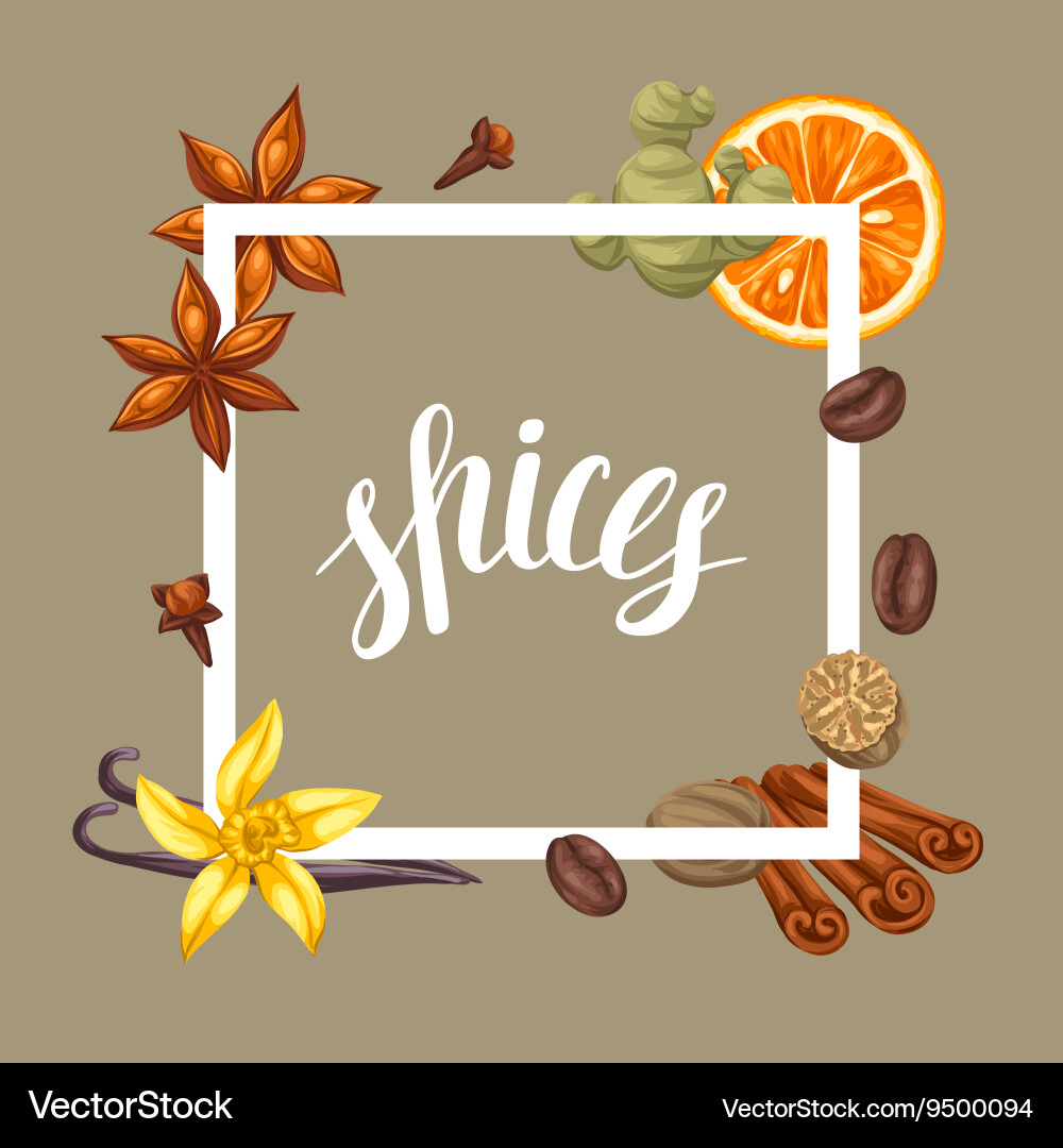 Frame design with various spices Vector Image