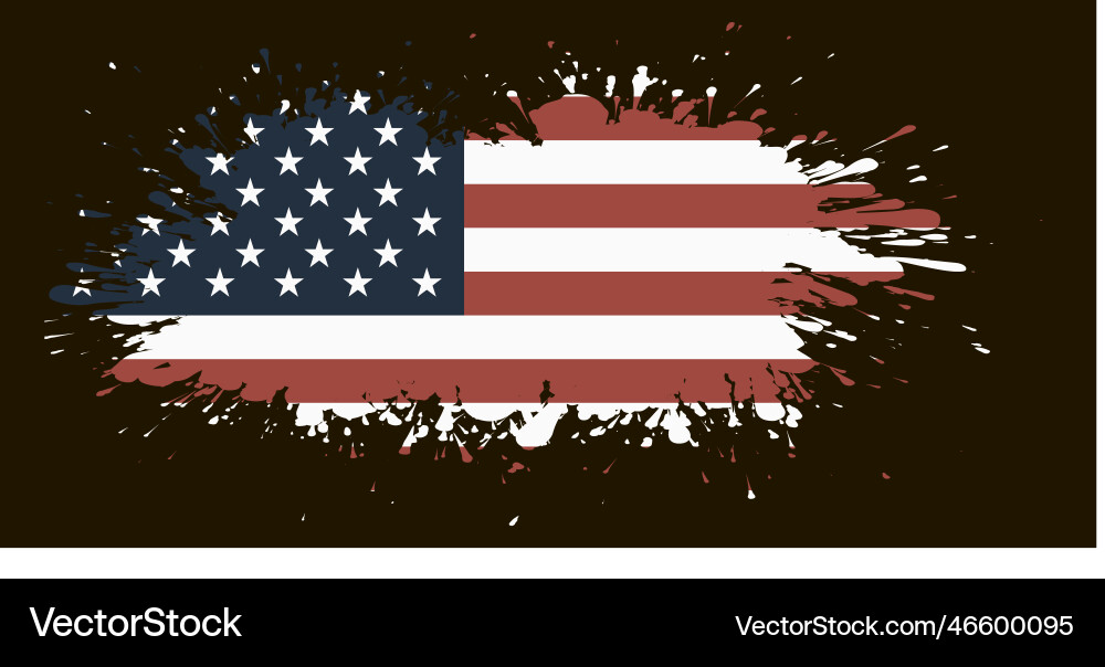 Grunge usa flag american brush paint texture vector image