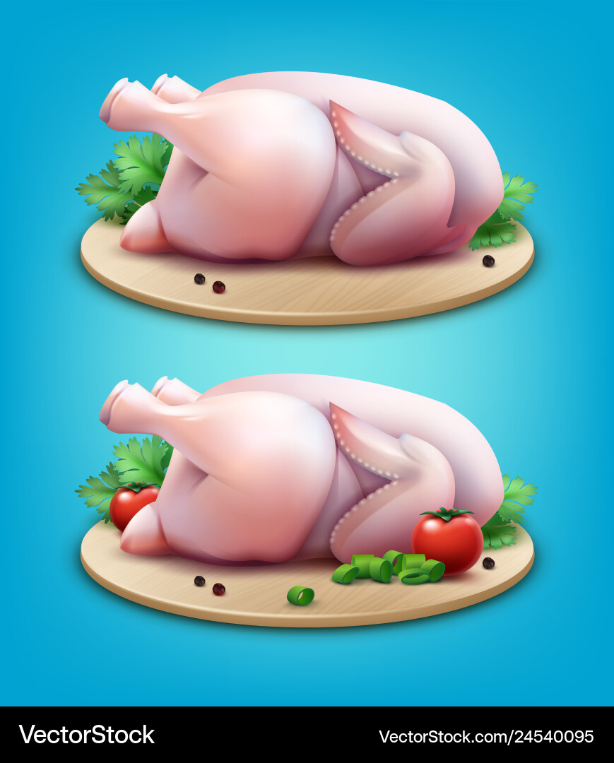 Two whole raw chickens vector image