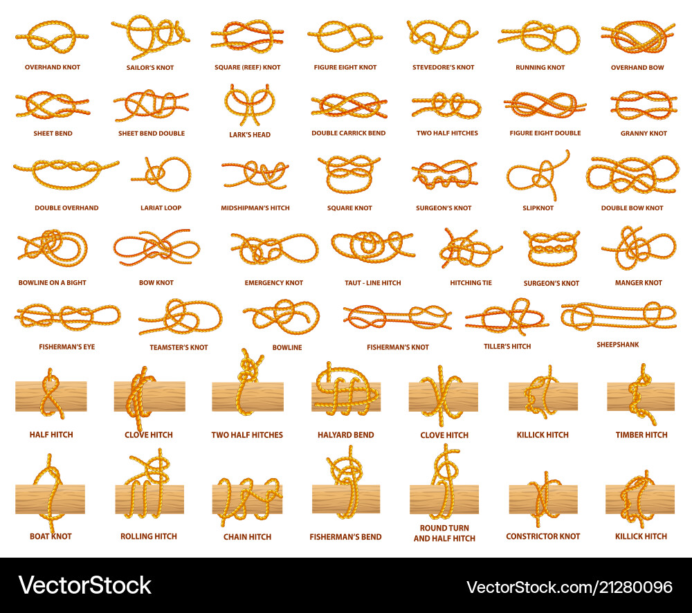 All types of knots demonstrated with strong rope Vector Image