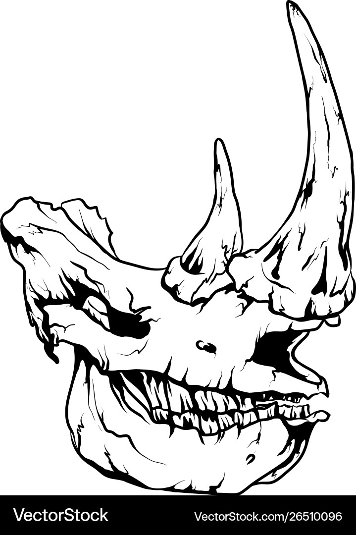 Rhinoceros Skull Coloring Page Vector Image