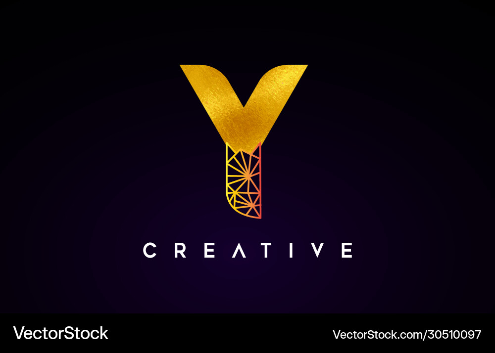 Golden Gold Buchstaben y Schönheit Logo Design Golden Gold Buchstaben y Schönheit Logo Design vektorbild