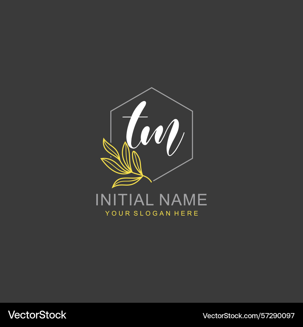 Tm initial logo templates with botanical elements Tm initial logo templates with botanical elements vector image