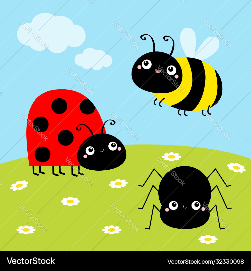 Bee bumblebee spider ladybug ladybird lady bug Bee bumblebee spider ladybug ladybird lady bug vector image