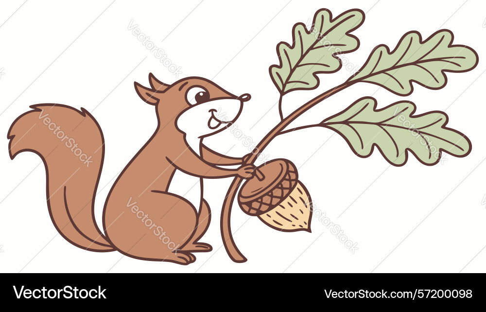 Curious squirrel with acorn on an oak branch vector image