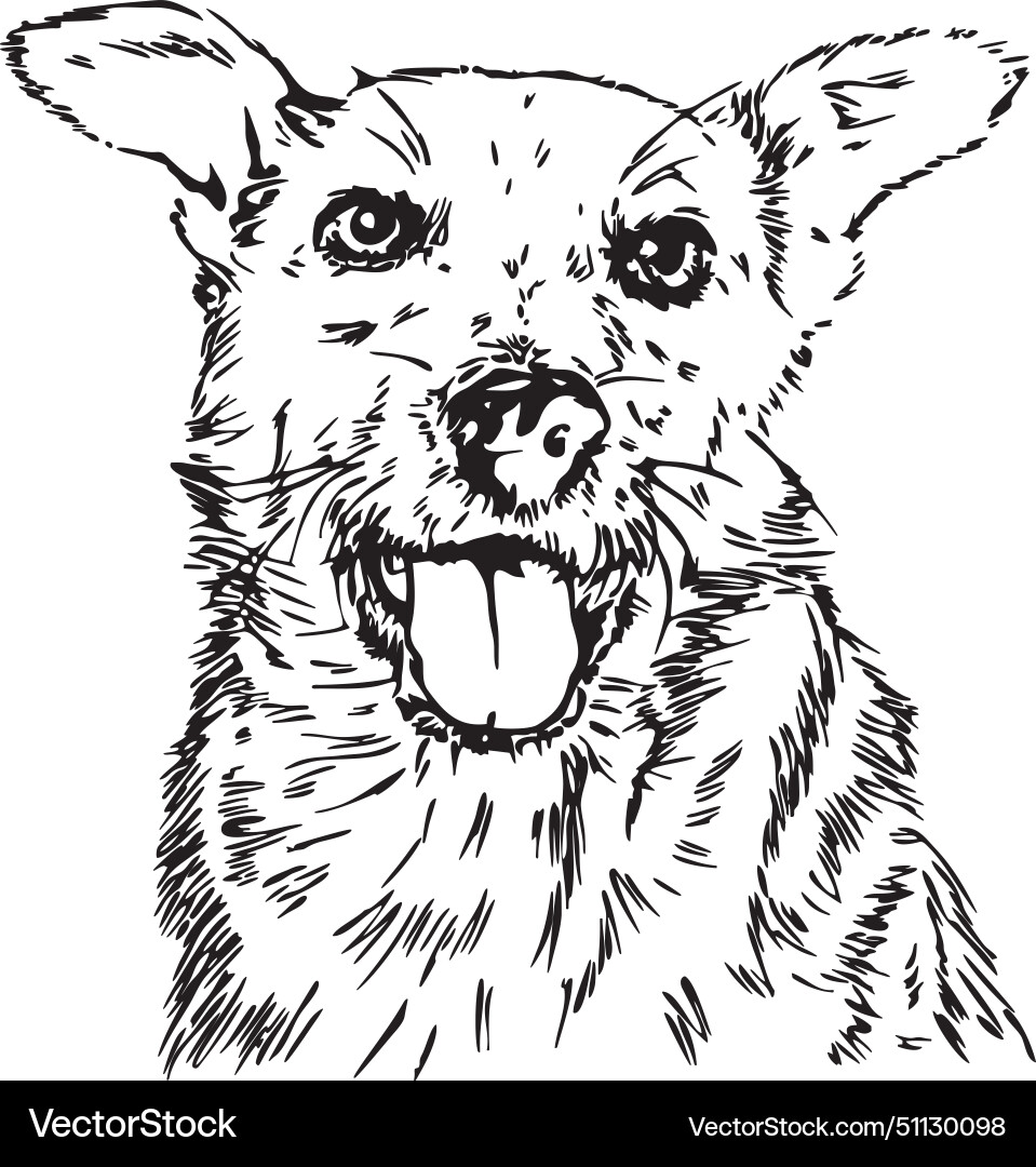 Cute dog Royalty Free Vector Image - VectorStock