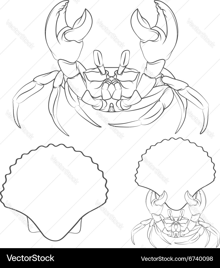 Image with shell crab claws in isolated objects vector image