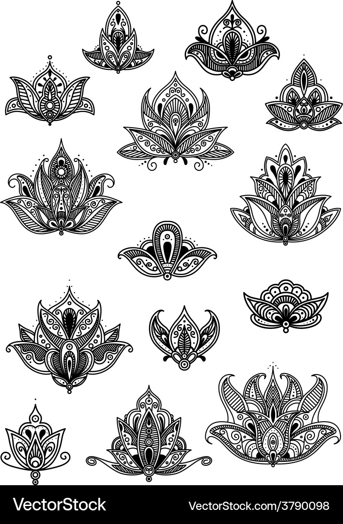 Large set of ornate vintage flower motifs Vector Image